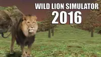 Wild Lion Simulator 2016 Screen Shot 4