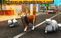Street Cat Sim 2016 Screen Shot 7