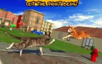 Street Cat Sim 2016 Screen Shot 6