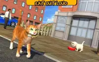 Street Cat Sim 2016 Screen Shot 9