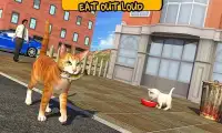 Street Cat Sim 2016 Screen Shot 14