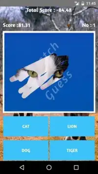 Pets Scratch game Screen Shot 1