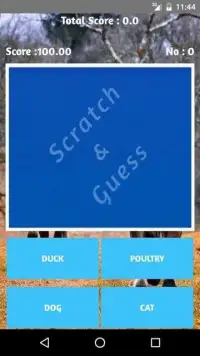 Pets Scratch game Screen Shot 2