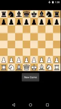 Chess Pro Screen Shot 2