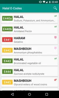 Halal E-Numbers Screen Shot 9