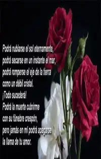 Poemas de Amor Screen Shot 0