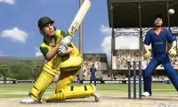 Cricket Worldcup Pro New Screen Shot 1