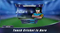 Touch Cricket T20 League 2015 Screen Shot 2