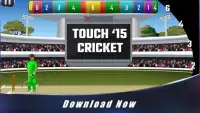 Touch Cricket T20 League 2015 Screen Shot 0