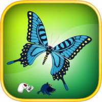 Butterfly Forest