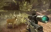 Sniper Deer Hunting Game 3D : Shooting Wild Animal Screen Shot 2