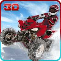 Quad ATV Snow Mobile Rider Sim