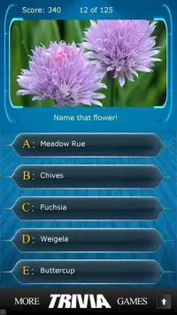 Name that Flower Trivia Screen Shot 0