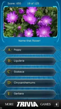 Name that Flower Trivia Screen Shot 3