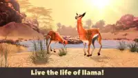 Llama Wild Life Simulator 3D Screen Shot 3