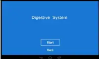 Digestive System Quiz Screen Shot 2