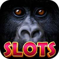 Monkey Island - Free Slot