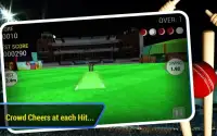 Cricket Run Out 3D Screen Shot 4