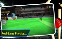 Cricket Run Out 3D Screen Shot 1