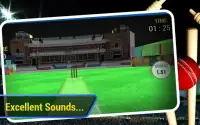 Cricket Run Out 3D Screen Shot 2