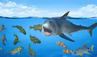 Hungry Shark Attack Blue Whale Evolution Simulator Screen Shot 2