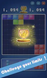 Puzzle Block legend Screen Shot 0