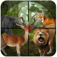 Sniper Wilder Animal Hunting:Africa Forest Hunter