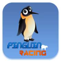 Guide for penguin Run