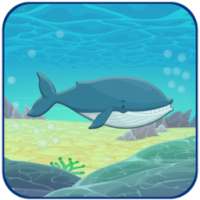 Blue Whale Puzzle Game