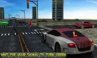 Real 3D Driving School: Ultimate Learners Test Screen Shot 13