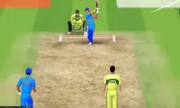 Pak vs India Cricket Series Game Screen Shot 1