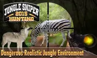 Jungle Sniper Hunting 2015 Screen Shot 3