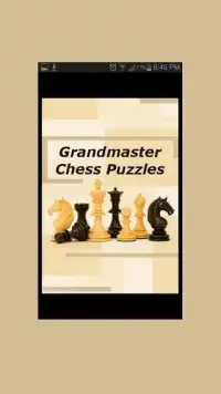 Grandmaster Chess Puzzles Screen Shot 1
