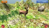 3D ANIMAL SOUNDS Screen Shot 1
