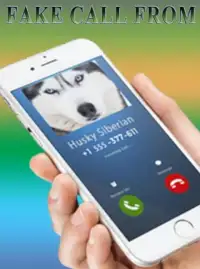 Fake Call from Siberian husky dog Screen Shot 0