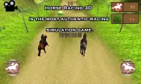 * Royal Derby Horse Riding: Adventure Arena Screen Shot 1