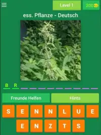 Essbare Pflanzen - Deutsch Screen Shot 4