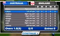 England Vs Australia Ashes Series Game Screen Shot 1