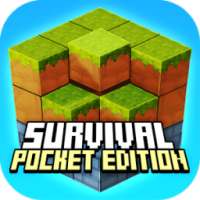 Survival 3D Pocket Edition