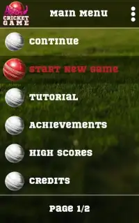 Blind Cricket Screen Shot 9