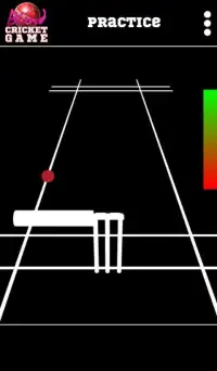 Blind Cricket Screen Shot 1