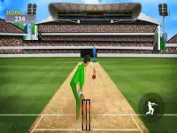 Mauka Mauka Cricket Game - Championship Fun Game Screen Shot 1