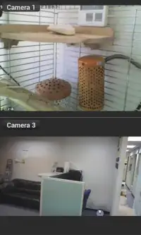 Cam Viewer for Tp-link Cameras Screen Shot 2