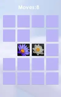 Flower Memory Game For Adults And Kids - Free Screen Shot 2