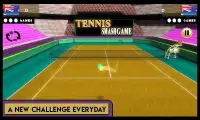 Tennis Smash Game Screen Shot 3