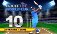Cricket World Cup Game Screen Shot 3
