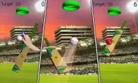 World Cricket Super League Screen Shot 0