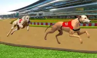 Ultimate Dog Racing Screen Shot 0
