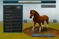 Race Horses Champions 2 Screen Shot 4