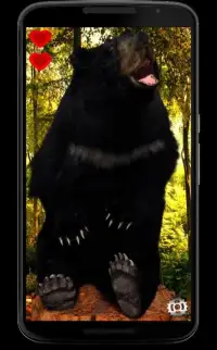 3D Live Happy Bear Screen Shot 1